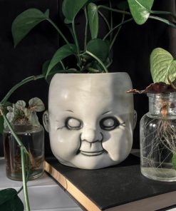 Sundancecreek.shopa9cc15eb91 1