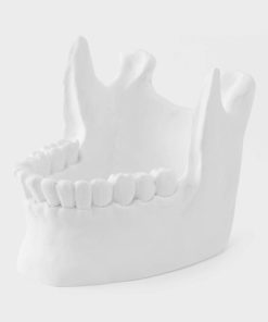 Sundancecreek.shopc998896a55 3