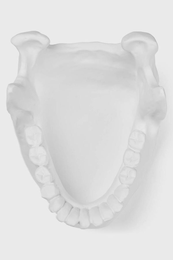 Sundancecreek.shopc998896a55 5